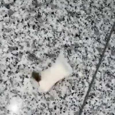 Maybe maybe maybe