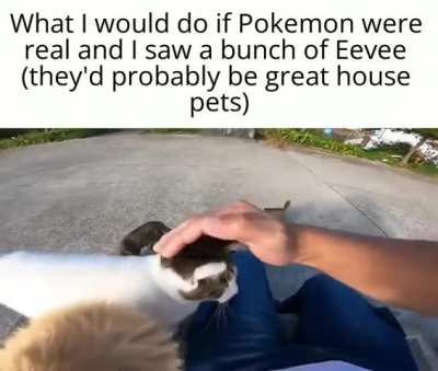 Y&rsquo;all Pokemon fans are weird