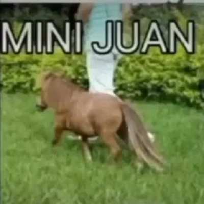 JUAN?! 😭😭