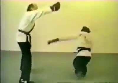 Man teaches monke kick-boxing