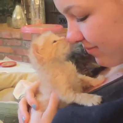 "I love you, human."