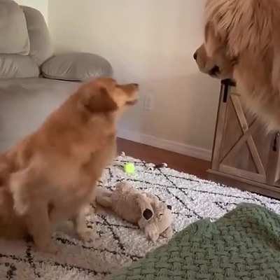 Goldie &ldquo;plays&rdquo; with sibling