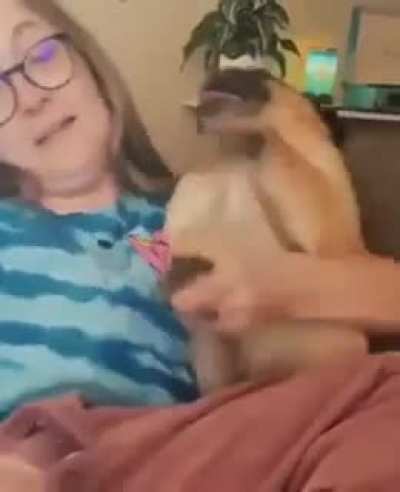 AAAAAAAAAAAAAAAAAAAAAAAA