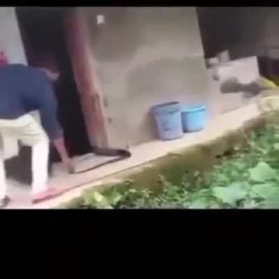 wtf