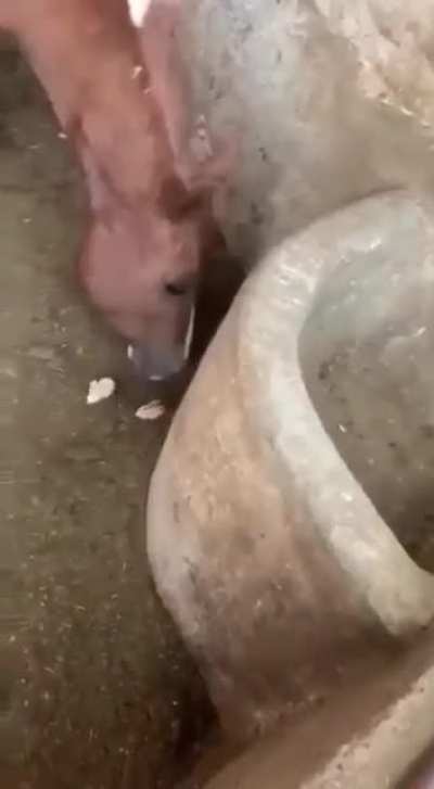 1 bite