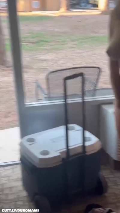 Exhibitionist