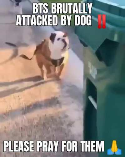 this is so sad for junglec*ock!!