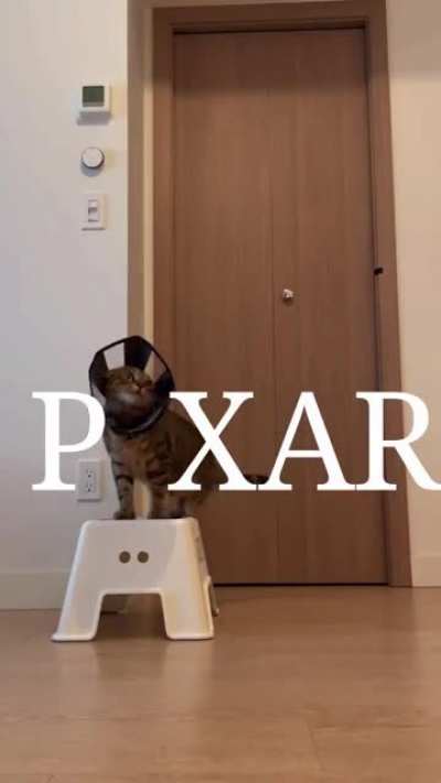 The &ldquo;I&rdquo; in PIXAR
