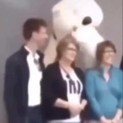 Bear.