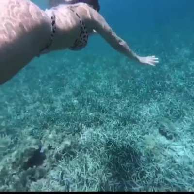 🏊&zwj;♀️