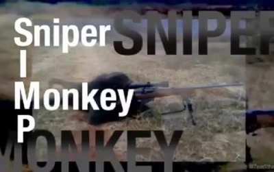 Sniper Rule