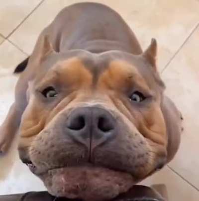 A big smile from the big guy