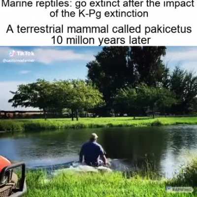 "Your ecological niche is now mine!!" And thus the cetaceans were born