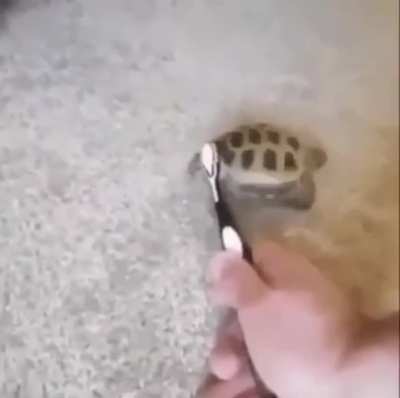 :)