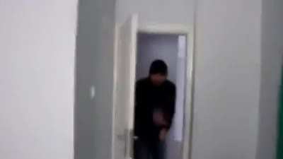 DELİİ