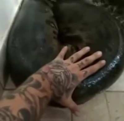 WTF...