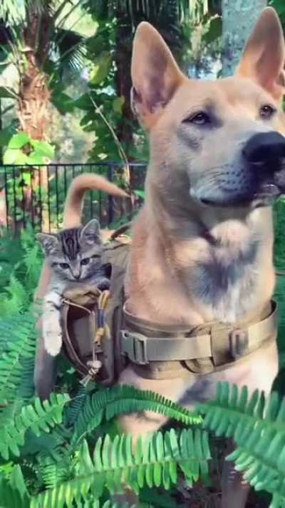 Немного позитивчика