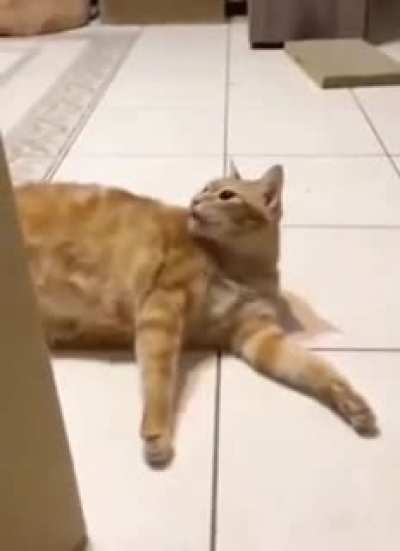 I&rsquo;m sorry, little one
