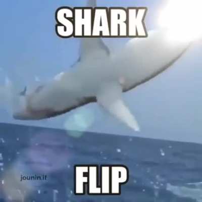 😎👍