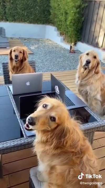A very important meeting