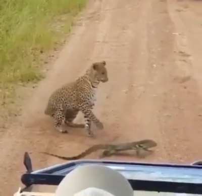 Hey! Back off!