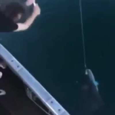Fishing 101
