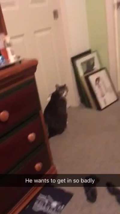 GF was in the shower, he wanted in.
