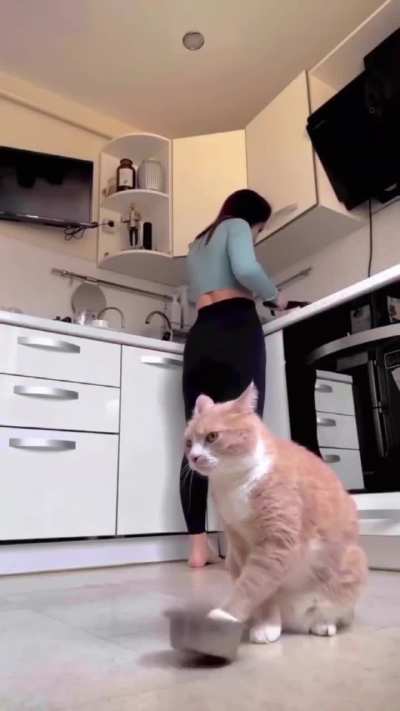 That&rsquo;s how he acts when hungry. How did he come up with that?