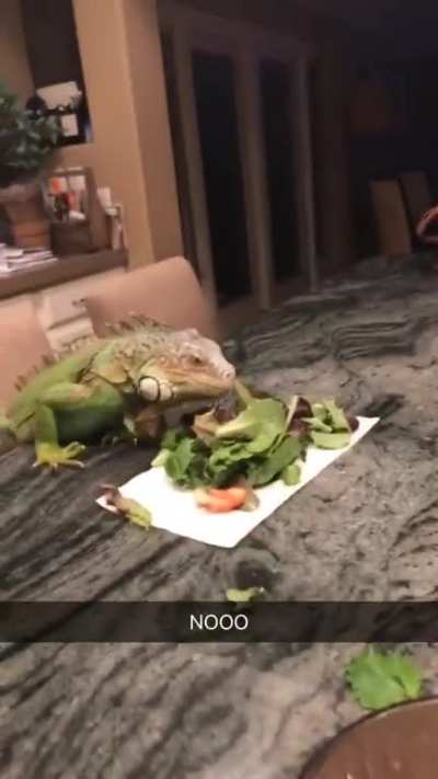 Dinner date gone bad