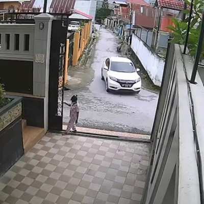 Maximum security