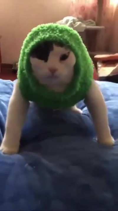 Grass Type Wunk