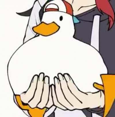 Duck meme 2: Electric Boogaloo