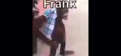 haumuahaumba