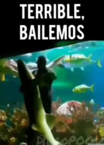 El pa&iacute;s est&aacute; en Crisis pero no hay pedo