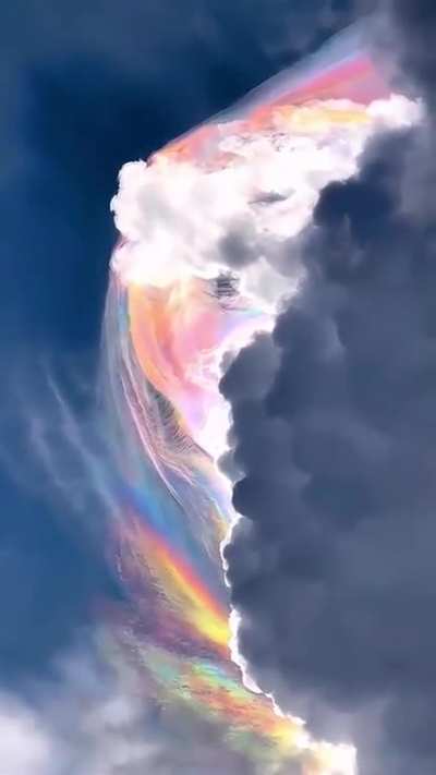 Pileus: