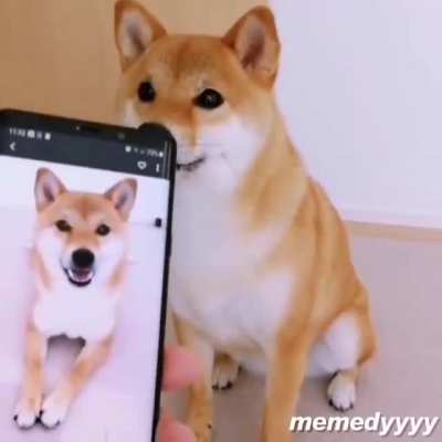 ?