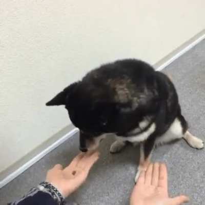 Угадай в какой руке