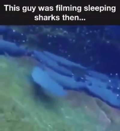 "No cameras allowed sir"