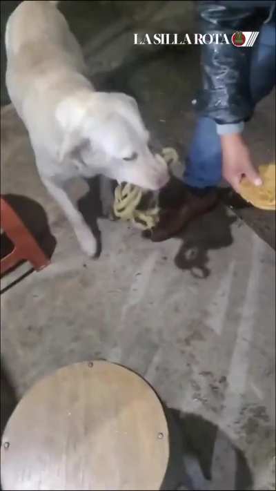 Mi cu&ntilde;ado tambi&eacute;n lo hac&iacute;a, pero para conseguir piedras