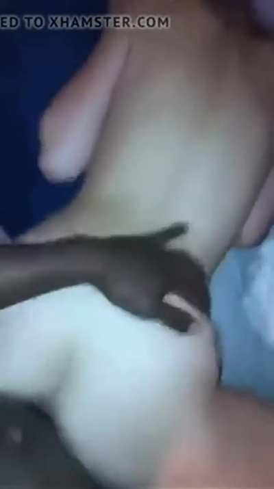 The cock of a Black God. What every white woman deserves. 