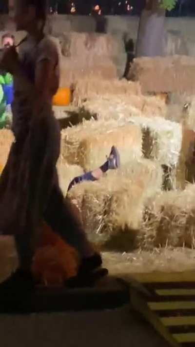 You never know what you&rsquo;ll see at Boo At The Zoo...