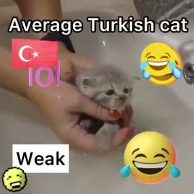 based