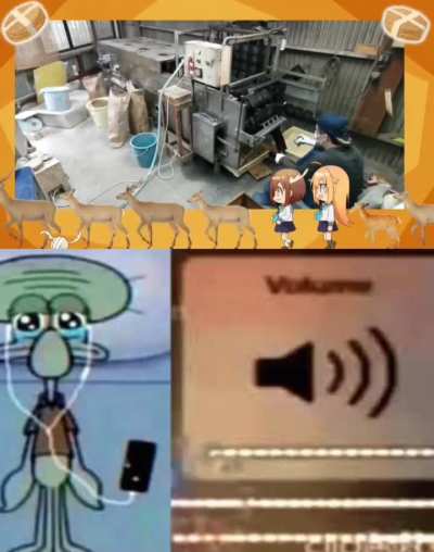 Am I the only one?