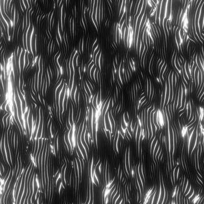 In chordis lucet | 17-10-&lrm;19 | by Xponentialdesign ( new archived output from 07-10-22 )