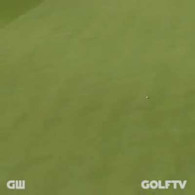 Michael Phelps with the longest televised putt ever at 160 feet. Yes. Michael Phelps.