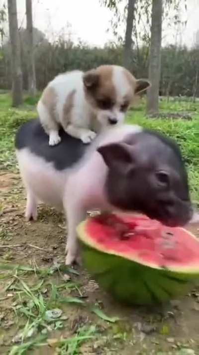 Enjoying life.