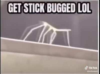 Lol