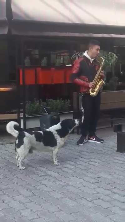 Making sweet music together