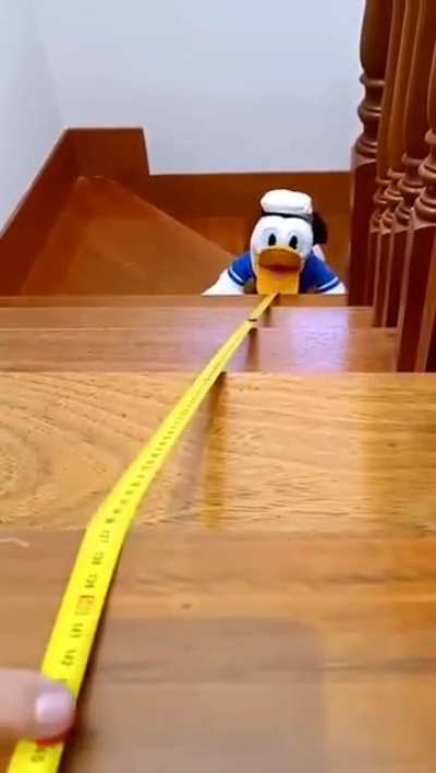 Donald Noms