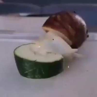 Si